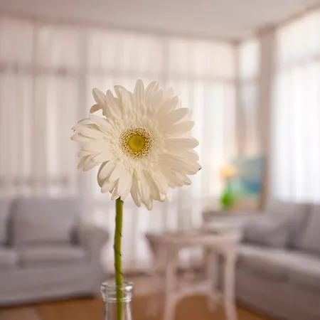 Galaxia Boutique Can Picafort (Mallorca)