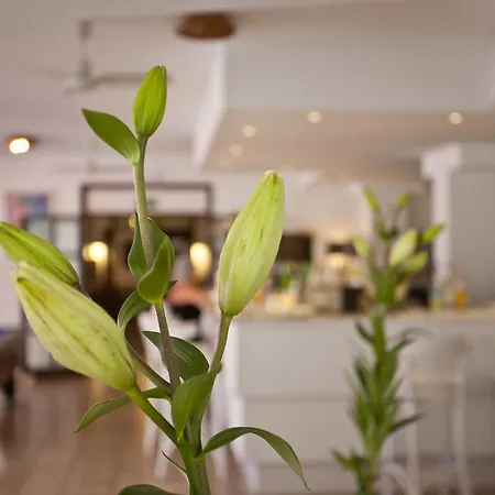 Hotel Galaxia Boutique