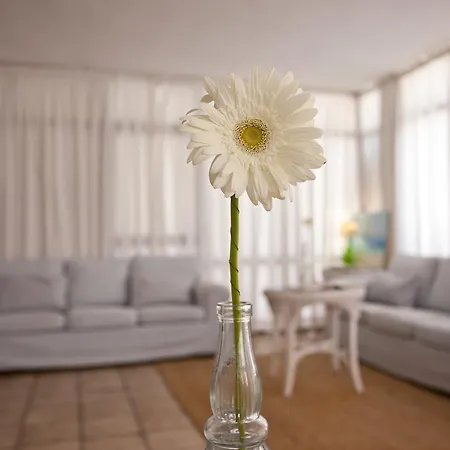 Galaxia Boutique Hotel *