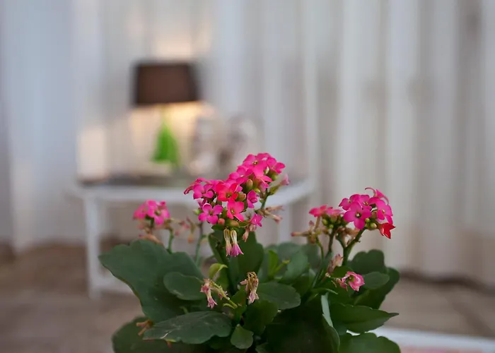 Galaxia Boutique Hotel *