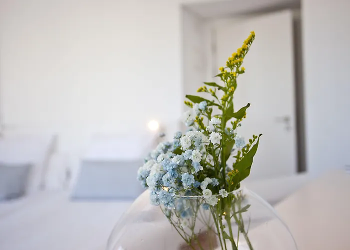 Galaxia Boutique Hotel