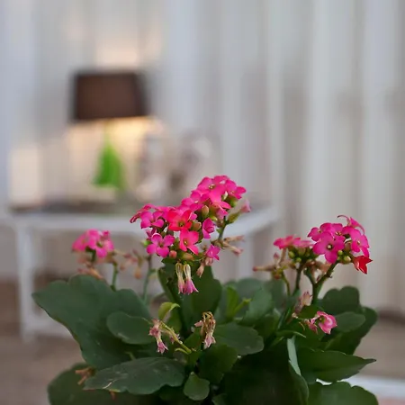 Galaxia Boutique Hotel *