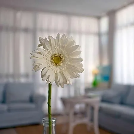Hotell Galaxia Boutique Can Picafort (Mallorca)