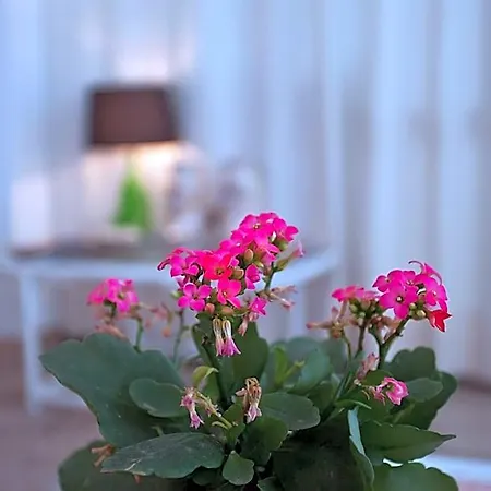 Hotell Galaxia Boutique *