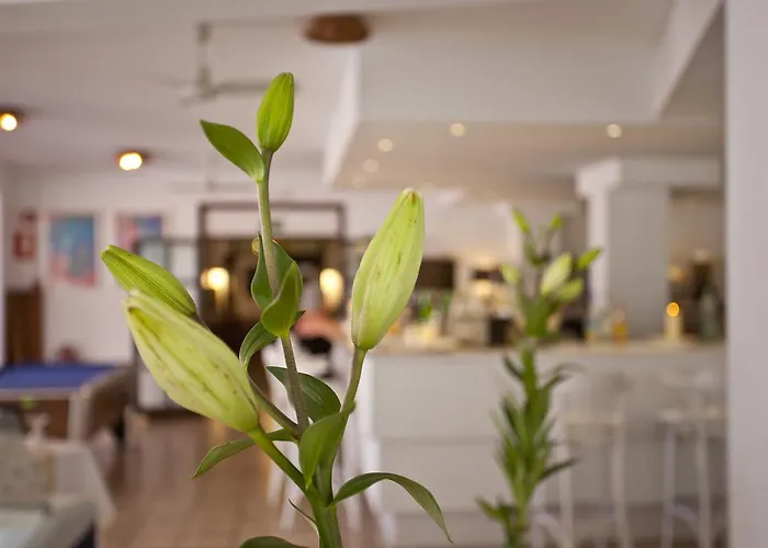 Hotel Galaxia Boutique