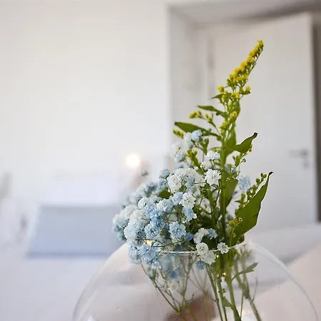 Otel Galaxia Boutique *