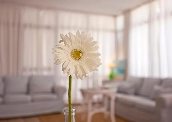 Galaxia Boutique Can Picafort